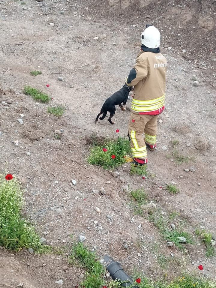 Kuyuya düşen köpeği itfaiye kurtardı - Sayfa 3