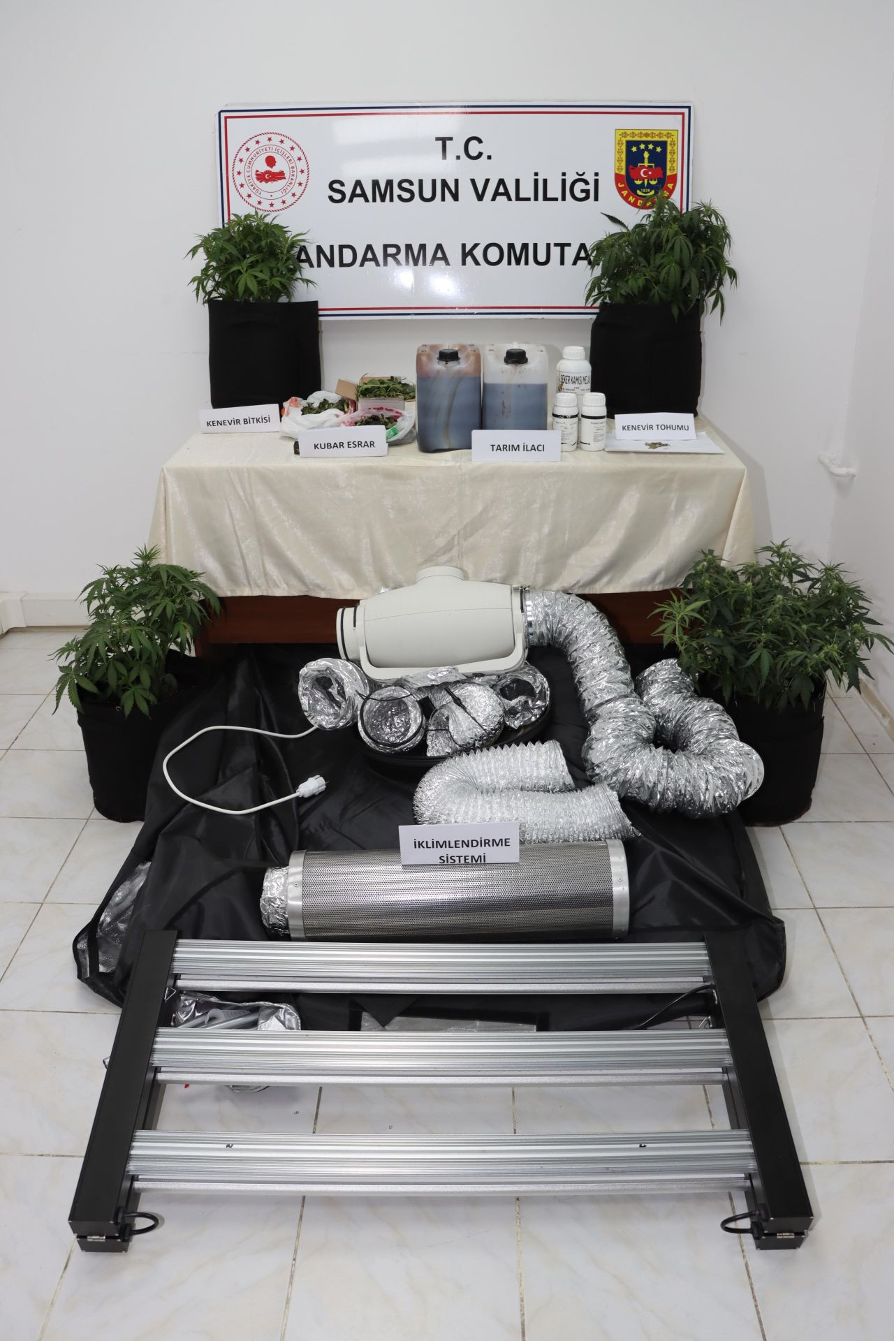 Evine iklimlendirme sistemi kurup kenevir yetiştirdi, jandarmaya yakalandı - Sayfa 1