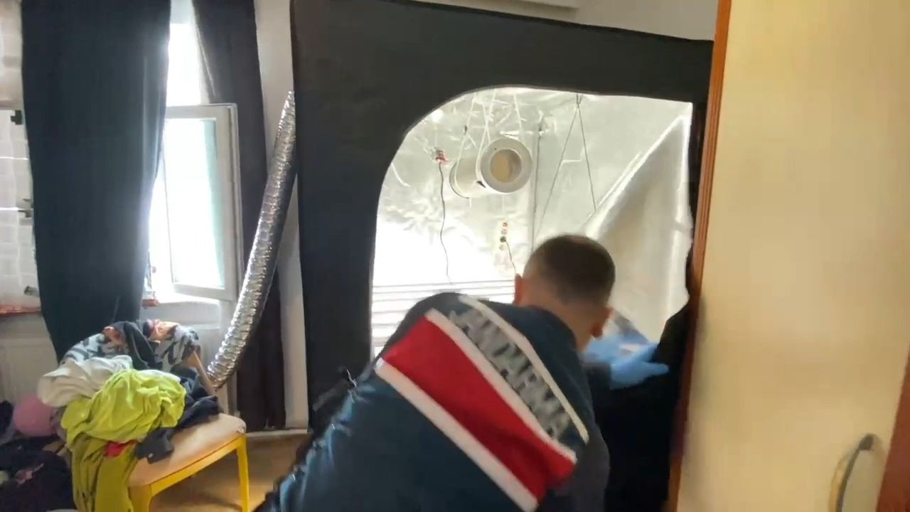 Evine iklimlendirme sistemi kurup kenevir yetiştirdi, jandarmaya yakalandı - Sayfa 4