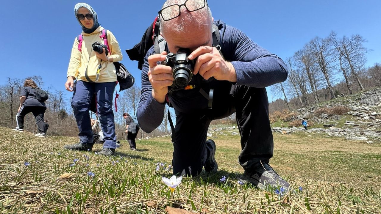 Dünyada sadece Kocaeli'de var: "Kesinlikle yenilmemeli, kopartılmamalıdır" - Sayfa 6