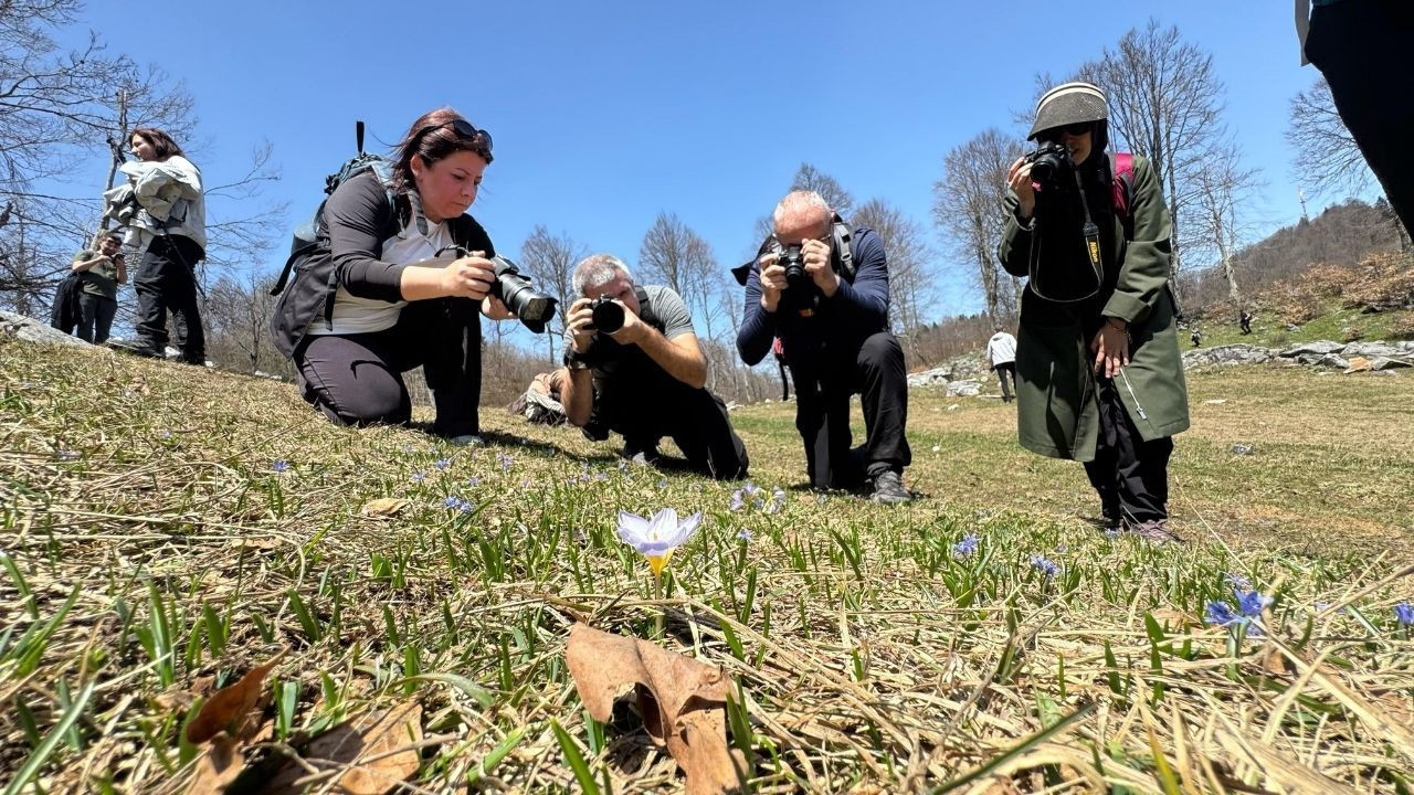 Dünyada sadece Kocaeli'de var: "Kesinlikle yenilmemeli, kopartılmamalıdır" - Sayfa 5