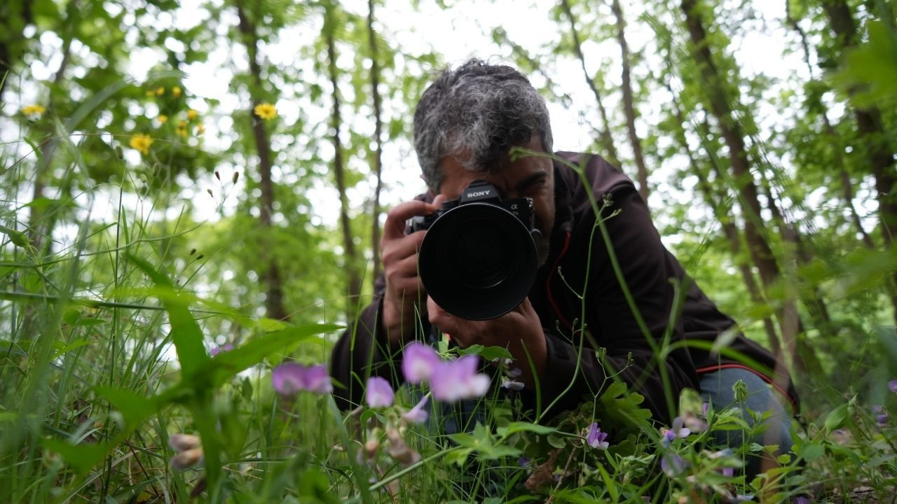 Dünyada sadece Kocaeli'de var: "Kesinlikle yenilmemeli, kopartılmamalıdır" - Sayfa 1