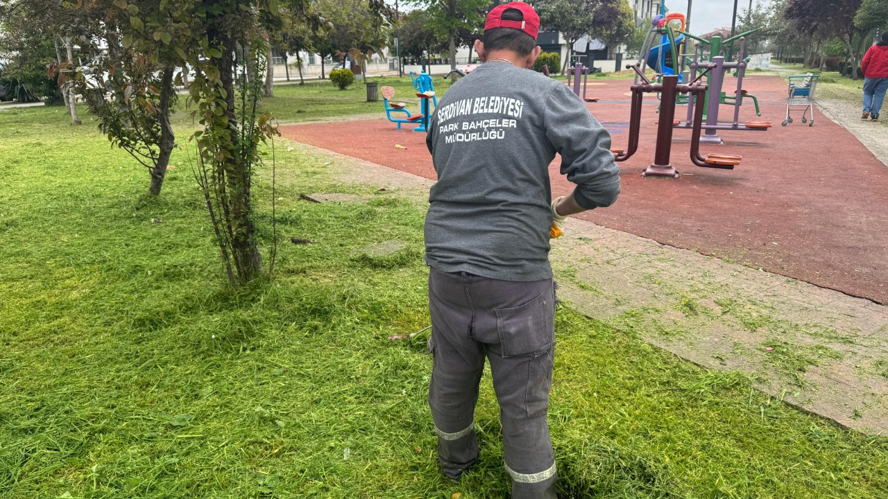 Serdivan’da Bahçelievler’e Bahar Dokunuşu: Ot Biçme Çalışmalarıyla Temiz ve Yeşil Mahalle!