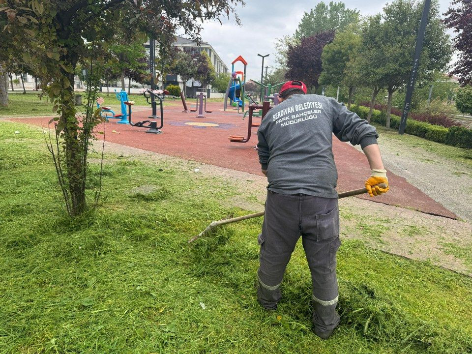 Serdivan’da Bahçelievler’e Bahar Dokunuşu: Ot Biçme Çalışmalarıyla Temiz ve Yeşil Mahalle! - Sayfa 4