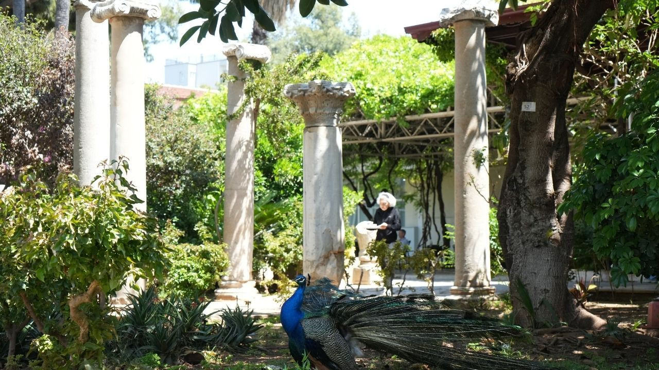 Arkeoloji Müzesi'nin renkli nöbetçileri - Sayfa 7