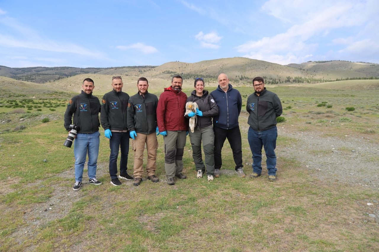 Akbaba Midas 101 bin kilometre uçtu - Sayfa 4