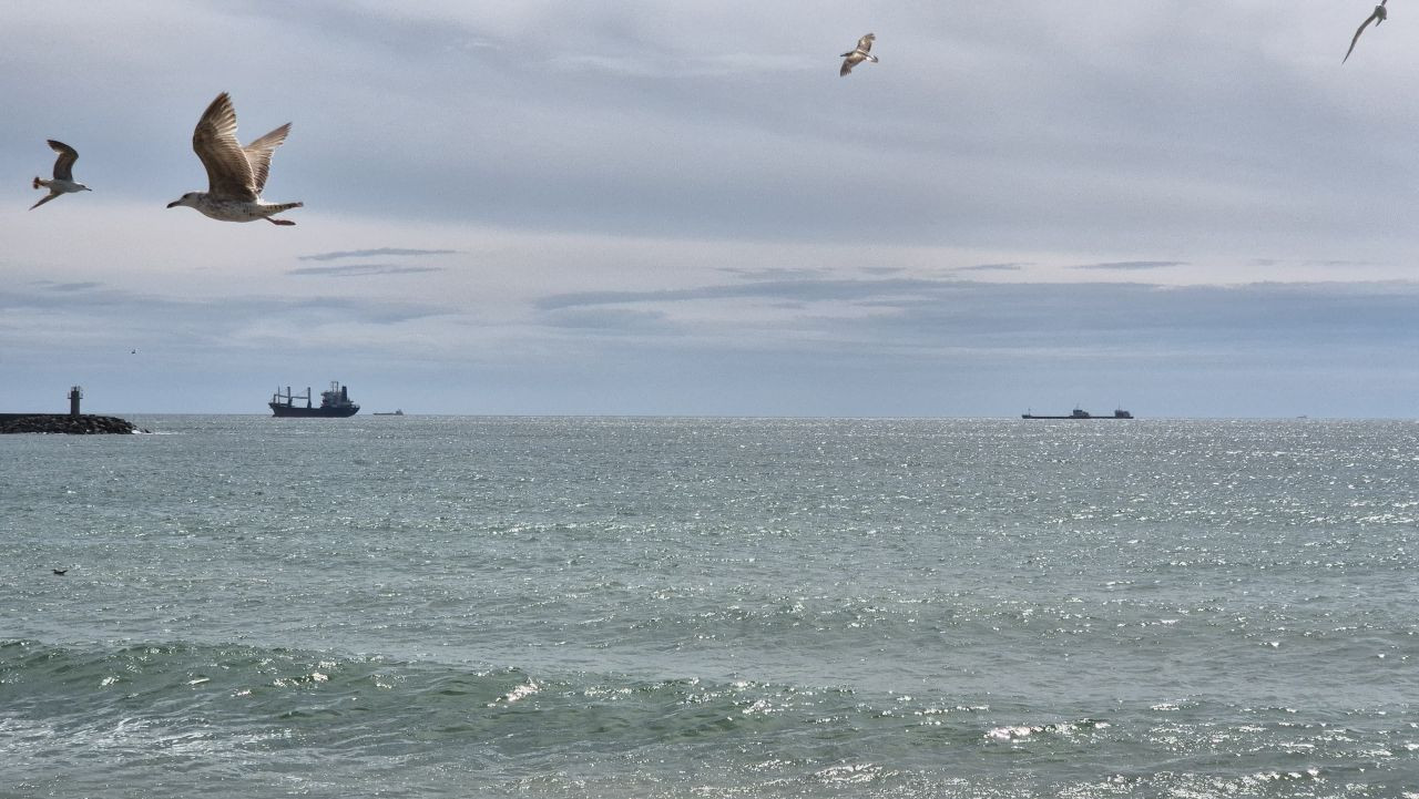 Limana hapsoldular: 5 gündür çıkamıyorlar - Sayfa 3