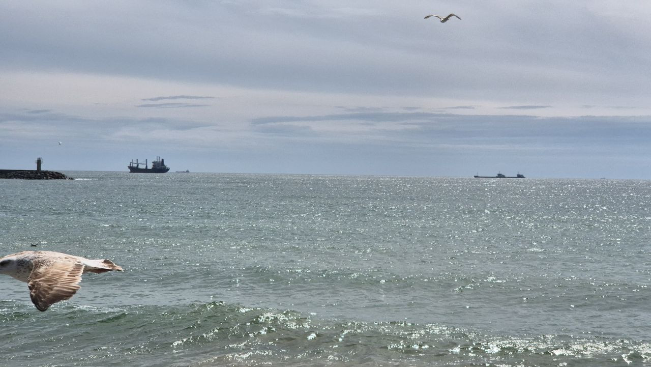 Limana hapsoldular: 5 gündür çıkamıyorlar - Sayfa 2