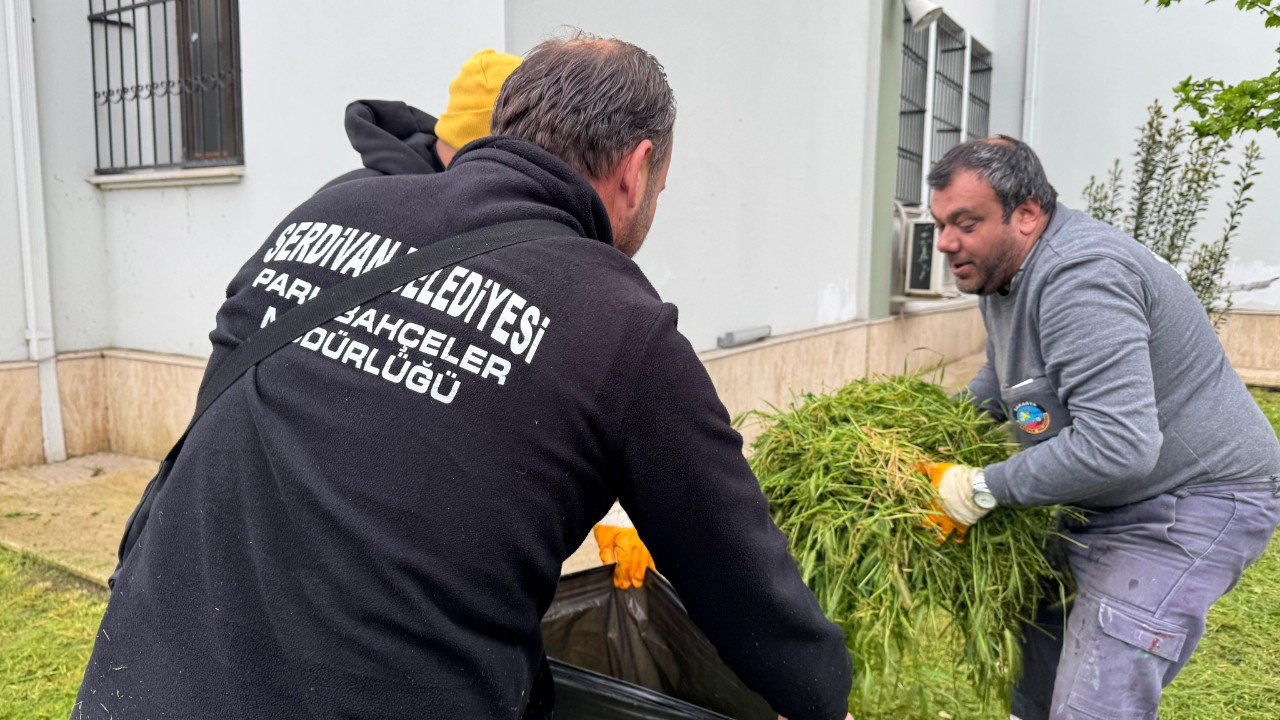 Serdivan’da Temizlik ve Düzenleme Mesaisi Sürüyor