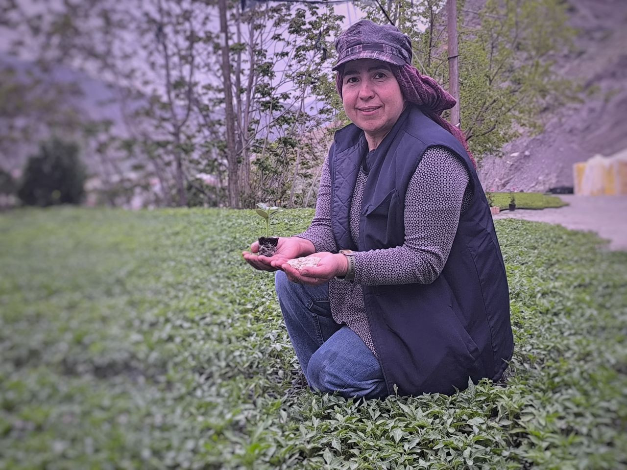 Uzundere’nin Çiçek Kadınları Yılda 1 Milyon Fide Üretiyor - Sayfa 1