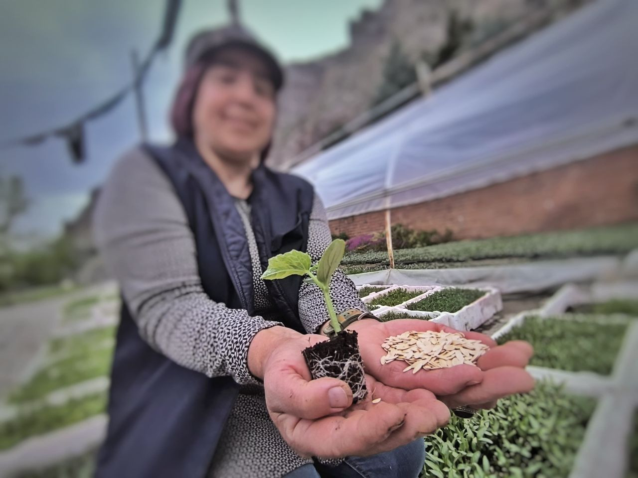 Uzundere’nin Çiçek Kadınları Yılda 1 Milyon Fide Üretiyor - Sayfa 2