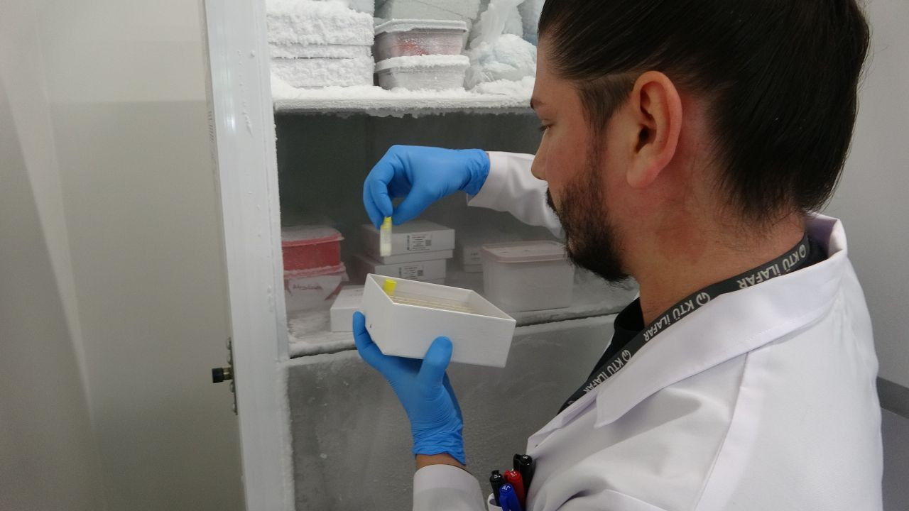 Trabzon'da Akrep Zehri Üzerine Çalışmalar Yürütülüyor - Sayfa 1