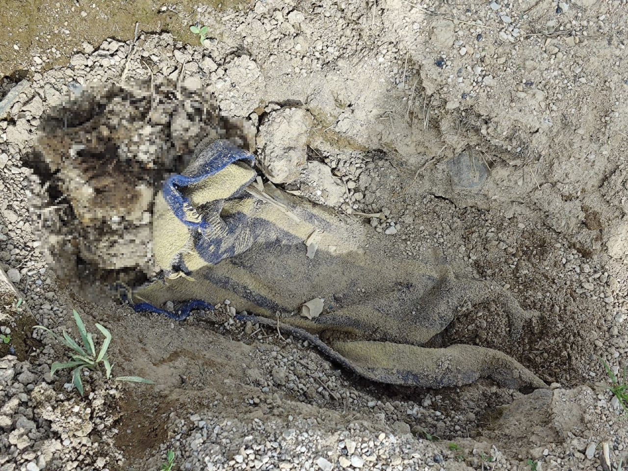 Çoban, Boş Arazide Battaniyeye Sarılarak Gömülmüş Erkek Cesedi Buldu - Sayfa 1