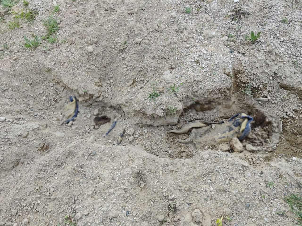 Çoban, Boş Arazide Battaniyeye Sarılarak Gömülmüş Erkek Cesedi Buldu - Sayfa 2