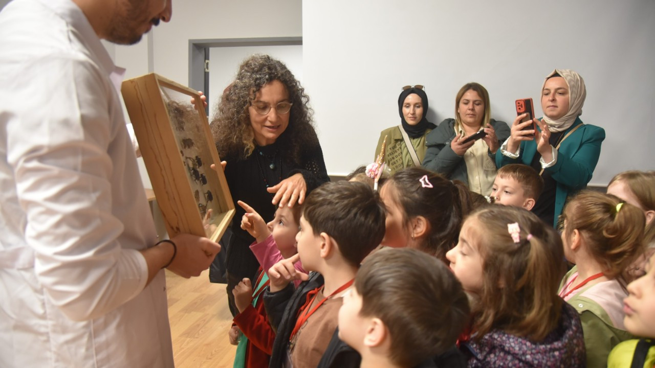 Düzce'de Minik Öğrenciler Böcekleri Dikkatle İnceledi