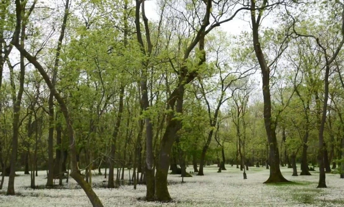 Samsun Kızılırmak Deltası: Karadeniz'in Sessiz Cenneti - Sayfa 1