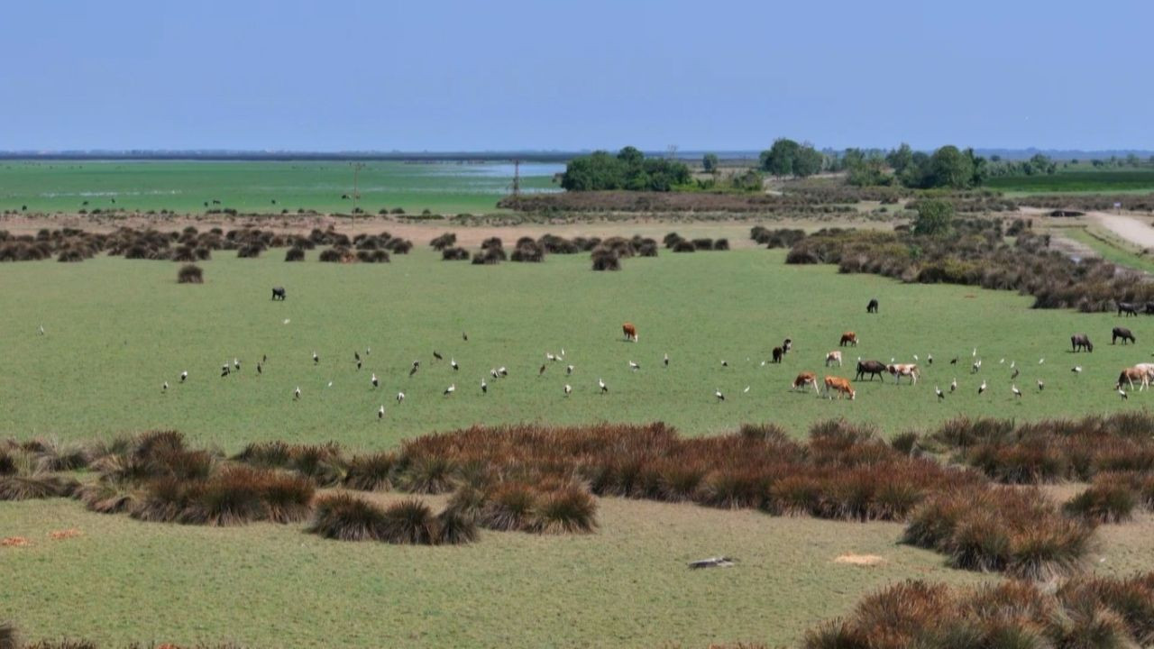 Samsun Kızılırmak Deltası: Karadeniz'in Sessiz Cenneti - Sayfa 2