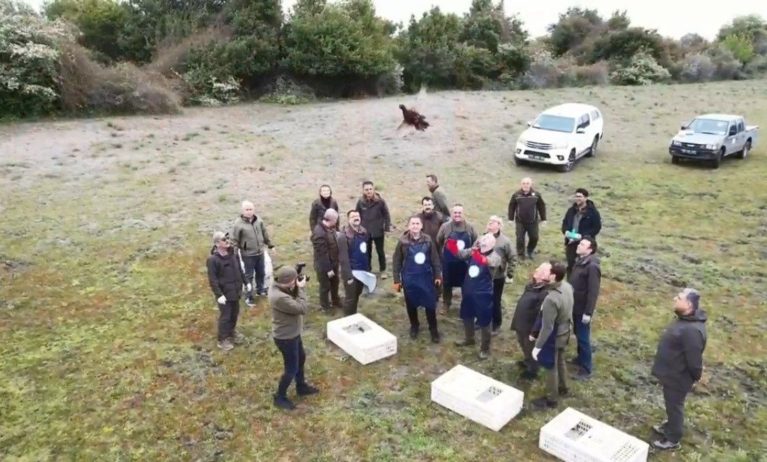 Samsun Kızılırmak Deltası: Karadeniz'in Sessiz Cenneti - Sayfa 6