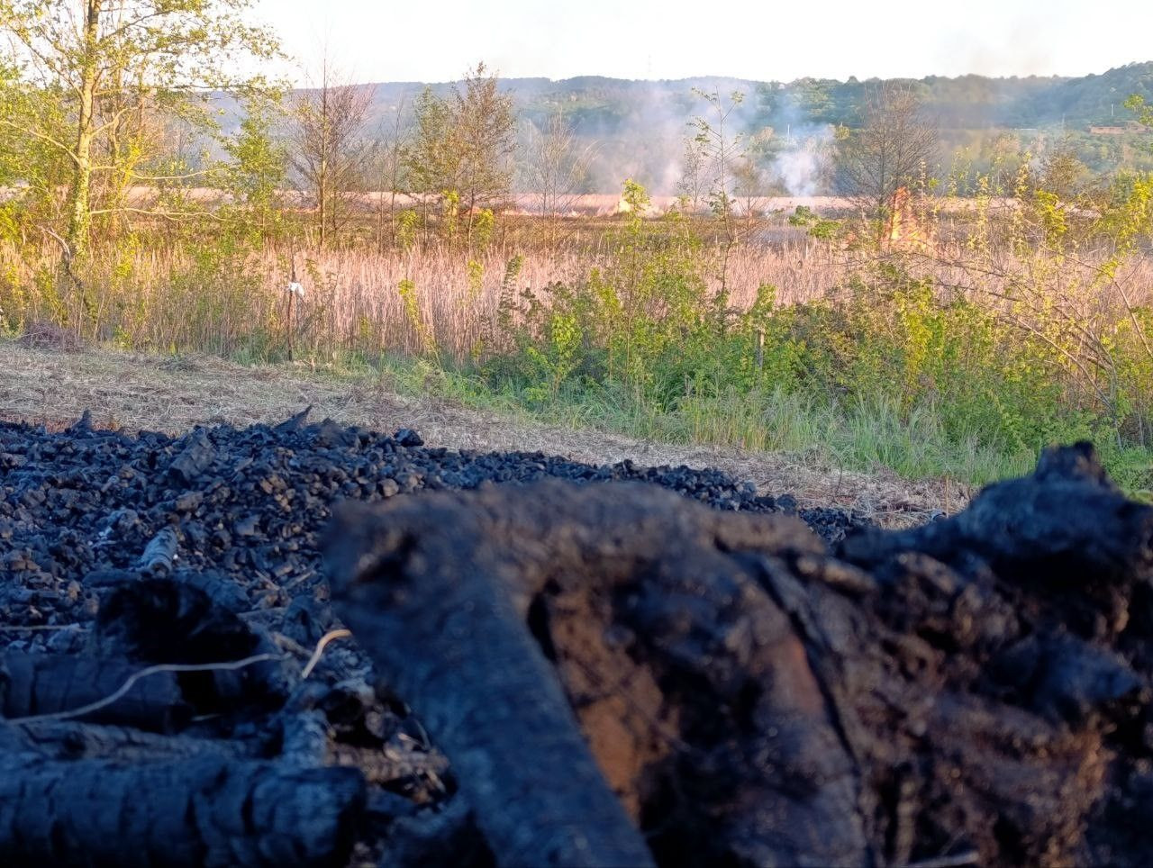 Karasu’da Büyük Yangın! 60 Dönüm Arazi Küle Döndü - Sayfa 6