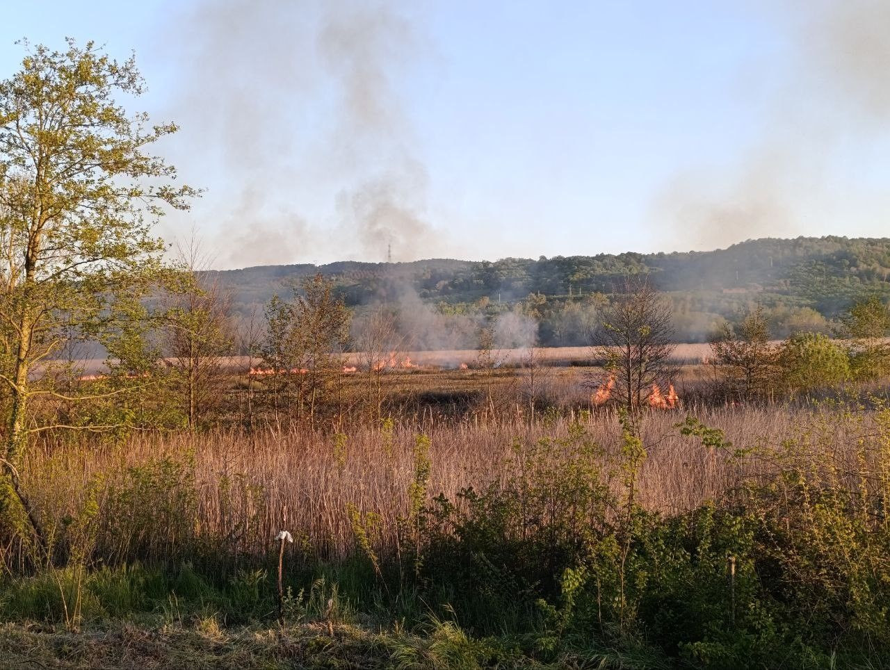 Karasu’da Büyük Yangın! 60 Dönüm Arazi Küle Döndü - Sayfa 5