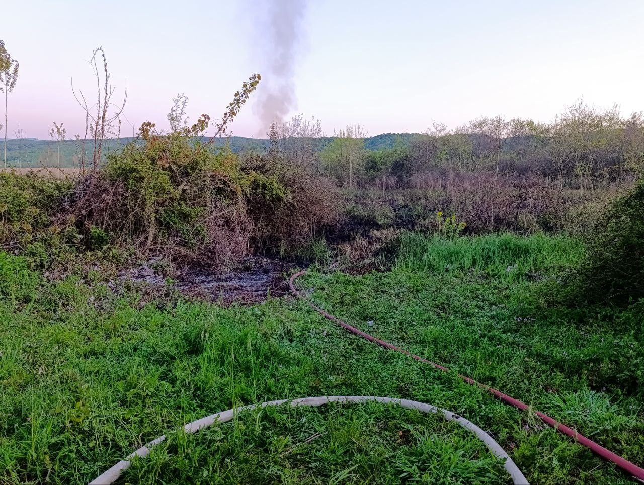 Karasu’da Büyük Yangın! 60 Dönüm Arazi Küle Döndü - Sayfa 1