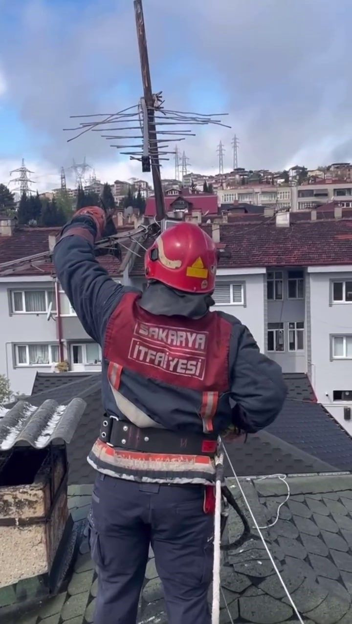 Antene Sıkışan Karga İtfaiye Tarafından Kurtarıldı! - Sayfa 3