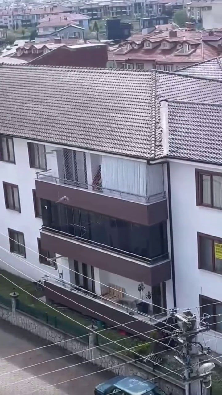 Antene Sıkışan Karga İtfaiye Tarafından Kurtarıldı! - Sayfa 1