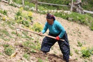 Karadeniz Kadınının Zorlu Mesaisi Başladı - Sayfa 5