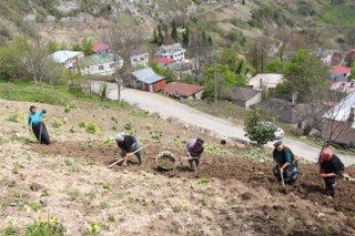 Karadeniz Kadınının Zorlu Mesaisi Başladı - Sayfa 7
