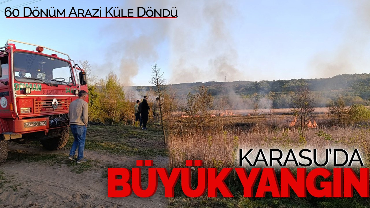 Karasu’da Büyük Yangın! 60 Dönüm Arazi Küle Döndü