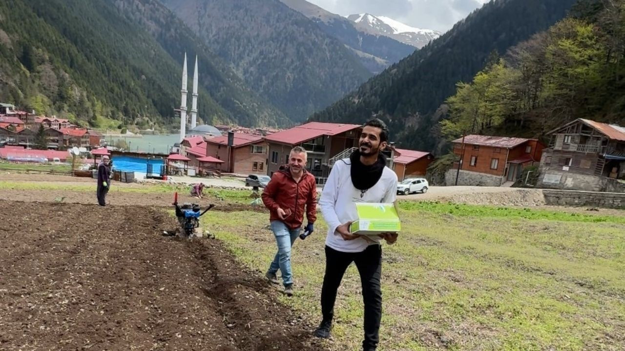 Uzungöl’de Arap Turistler, Tarlada Mısır Eken Vatandaşlara Hurma Dağıttı, Tarla Belledi