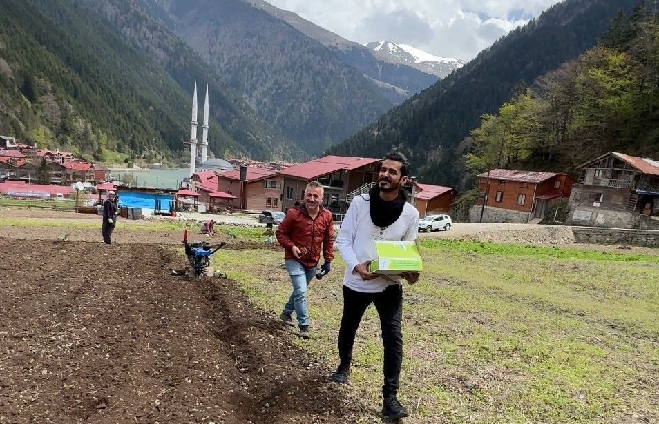 Uzungöl’de Arap Turistler, Tarlada Mısır Eken Vatandaşlara Hurma Dağıttı, Tarla Belledi - Sayfa 1