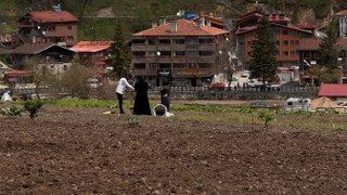 Uzungöl’de Arap Turistler, Tarlada Mısır Eken Vatandaşlara Hurma Dağıttı, Tarla Belledi - Sayfa 5