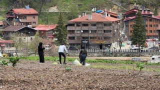 Uzungöl’de Arap Turistler, Tarlada Mısır Eken Vatandaşlara Hurma Dağıttı, Tarla Belledi - Sayfa 6