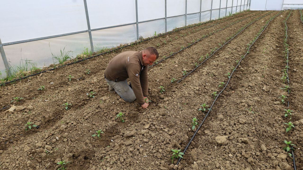 Kocaeli'de Üreticilere Sera Desteği - Sayfa 3