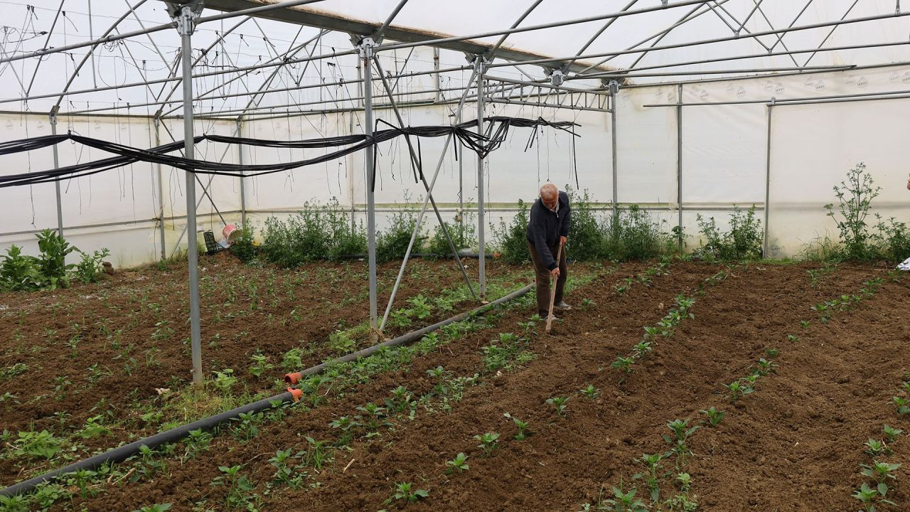 Kocaeli'de Üreticilere Sera Desteği - Sayfa 4