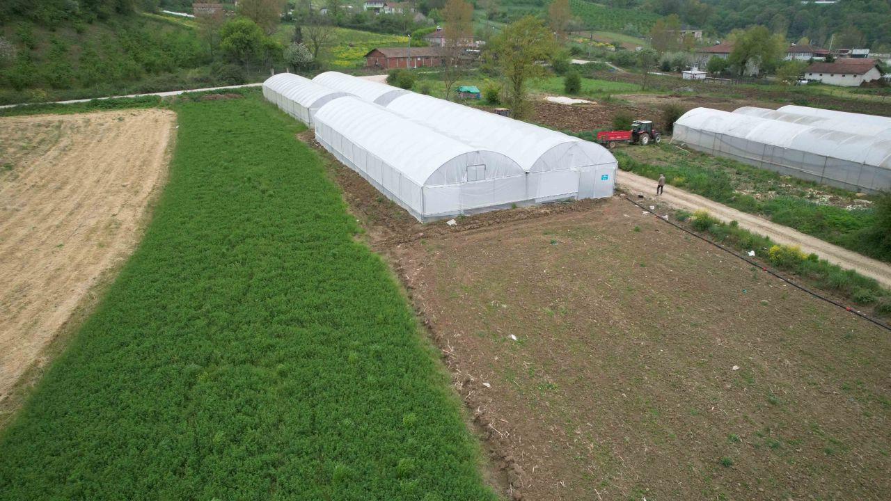 Kocaeli'de Üreticilere Sera Desteği - Sayfa 5