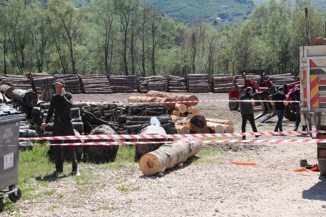 Akyazı'da İş Kazası Can Aldı: Tomrukların Altında Kalan İşçi Hayatını Kaybetti - Sayfa 4