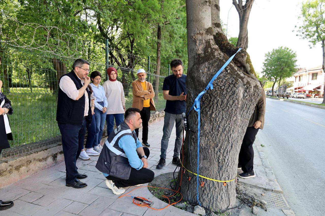 Büyükşehir’den Ağaçlara Teknolojik Koruma: Şehrin Yeşil Hafızası Artık Tomografiyle İzlenecek - Sayfa 2