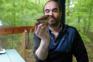 Bülbülün Göç Sırrı Ortaya Çıkıyor: "Çok İlginç Veriler Elde Etmeye Başladık" - Sayfa 5