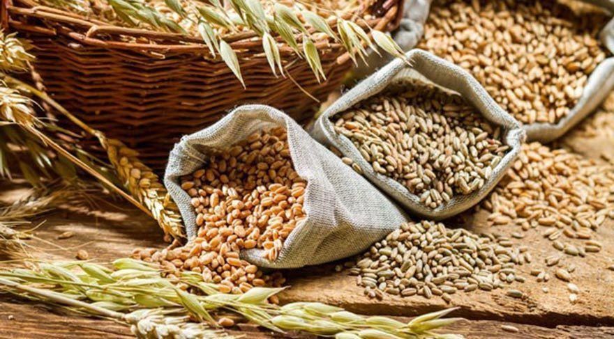 Buğdayda Bereketli Yıl: Rekolte 19 Milyon Tonu Bulacak! - Sayfa 2