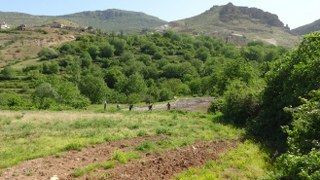 Gercüş’te Dededen Kalma Yöntemlerle İmece Usulü Pirinç Ekimi - Sayfa 3