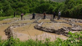 Gercüş’te Dededen Kalma Yöntemlerle İmece Usulü Pirinç Ekimi - Sayfa 6