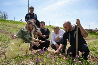 'Topraktaki Altın' Salep: Kilosu 3 Bin TL, 1 Dönümden 2,5 Milyon TL Gelir - Sayfa 2