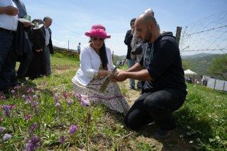 'Topraktaki Altın' Salep: Kilosu 3 Bin TL, 1 Dönümden 2,5 Milyon TL Gelir - Sayfa 5