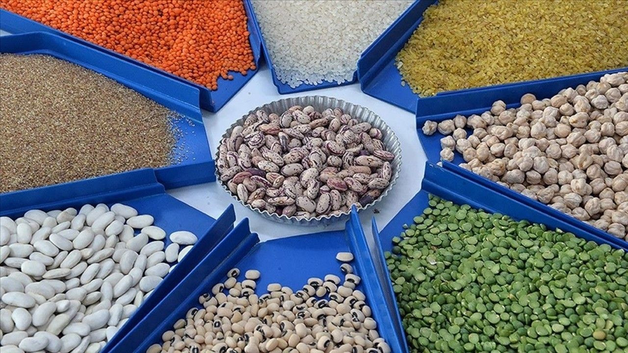 Gıda ve Tarım İhracatında Düşüş: İlk Çeyrekte %1,5’lik Gerileme - Sayfa 3