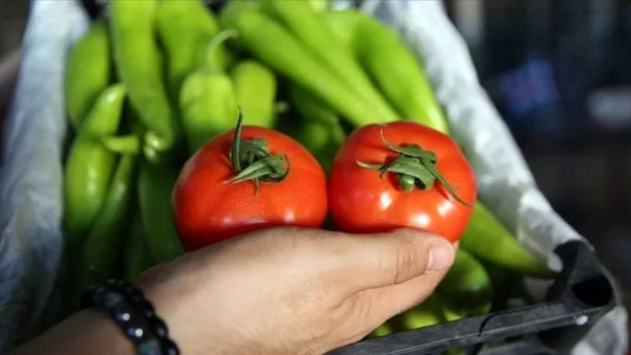 Gıda ve Tarım İhracatında Düşüş: İlk Çeyrekte %1,5’lik Gerileme - Sayfa 1