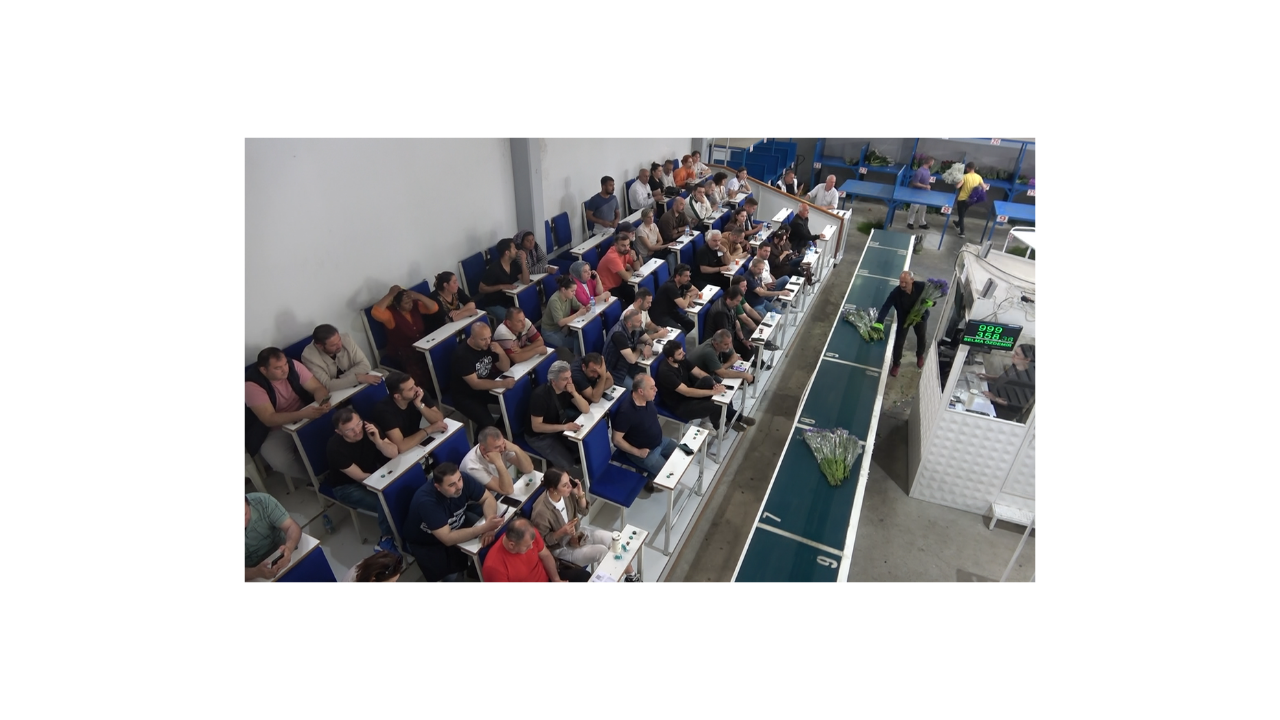 Yalova'daki Çiçek Mezatlarında Anneler Günü Hareketliliği - Sayfa 1