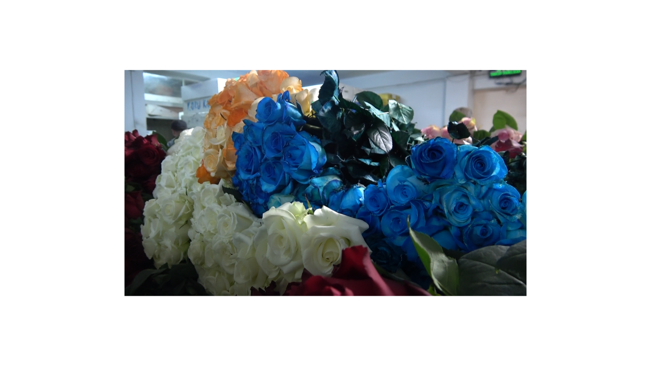 Yalova'daki Çiçek Mezatlarında Anneler Günü Hareketliliği - Sayfa 3