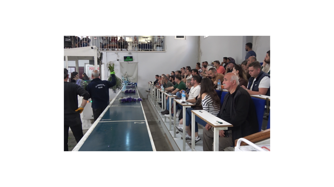 Yalova'daki Çiçek Mezatlarında Anneler Günü Hareketliliği - Sayfa 5